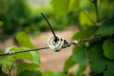 Ring Detail